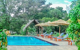 Sigiriya Peacock Homestay