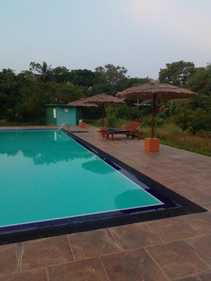 Sigiriya Peacock Homestay Exterior foto